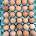 oeufs