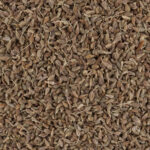 60861-anis-grains